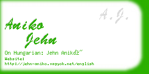 aniko jehn business card